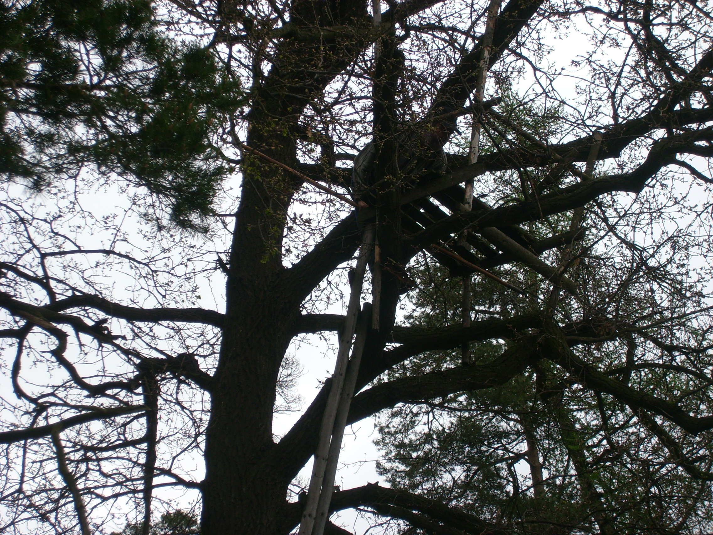 STP61536.JPG