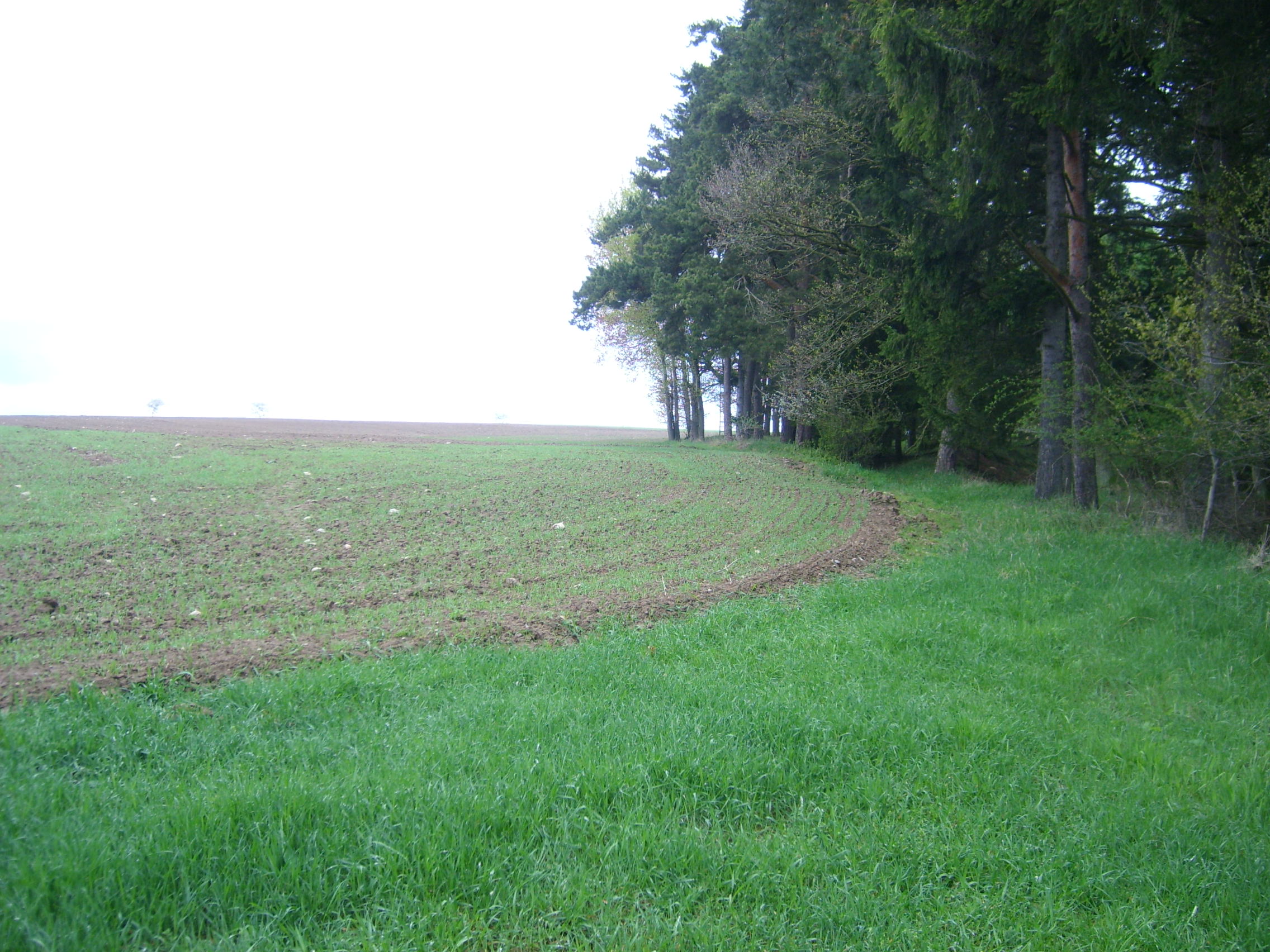 STP61538.JPG