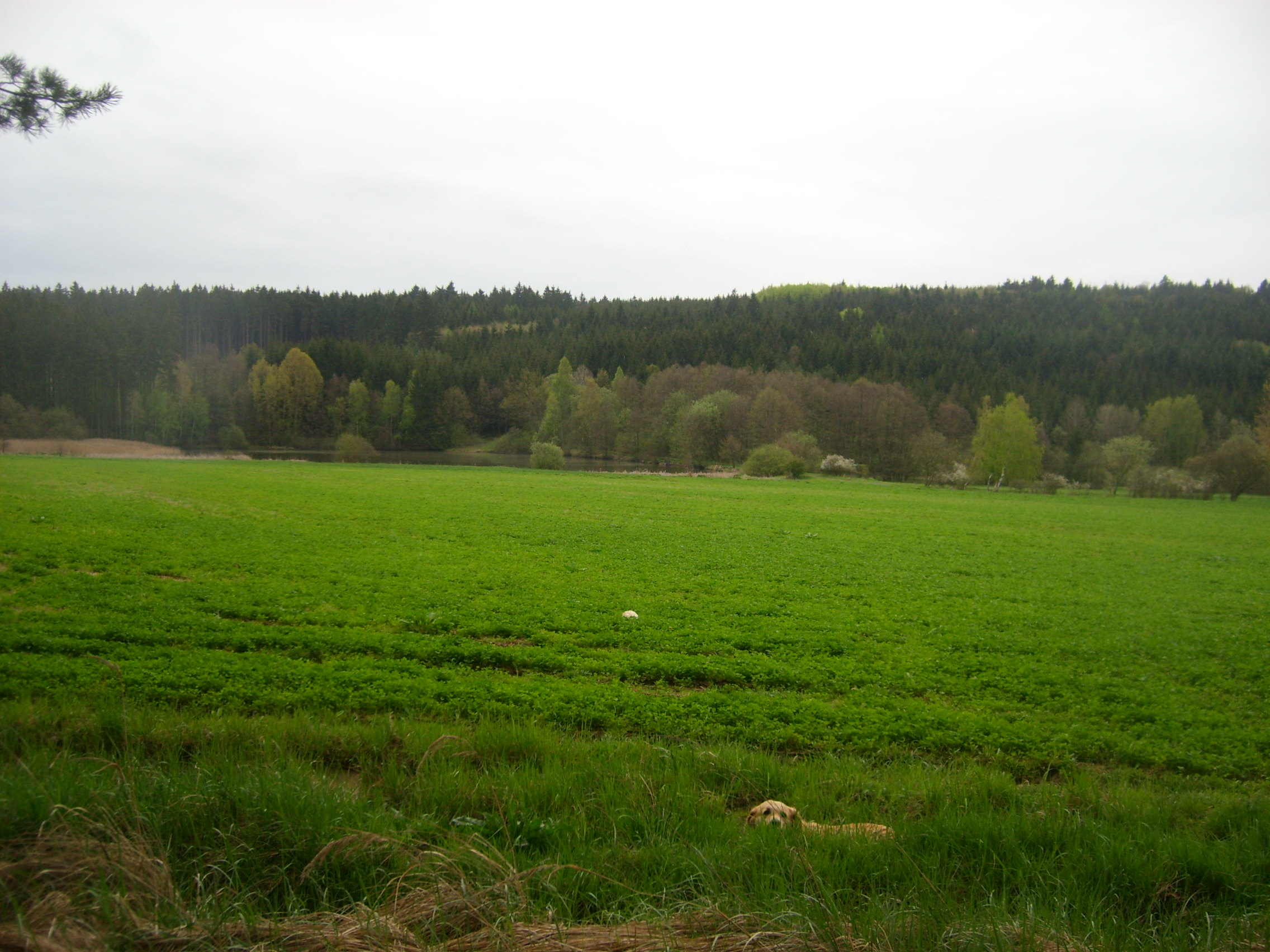 STP61546.JPG