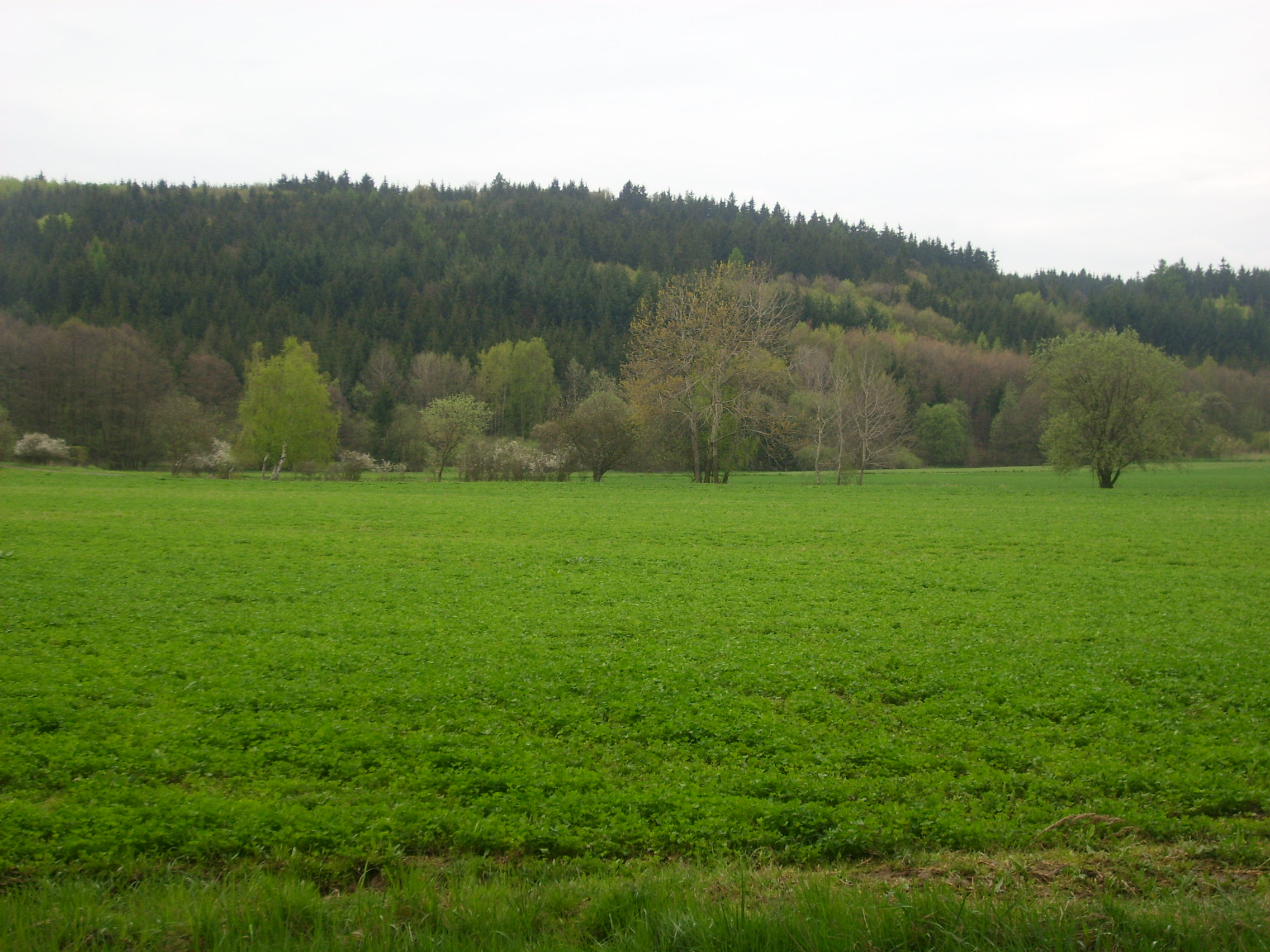 STP61548.JPG
