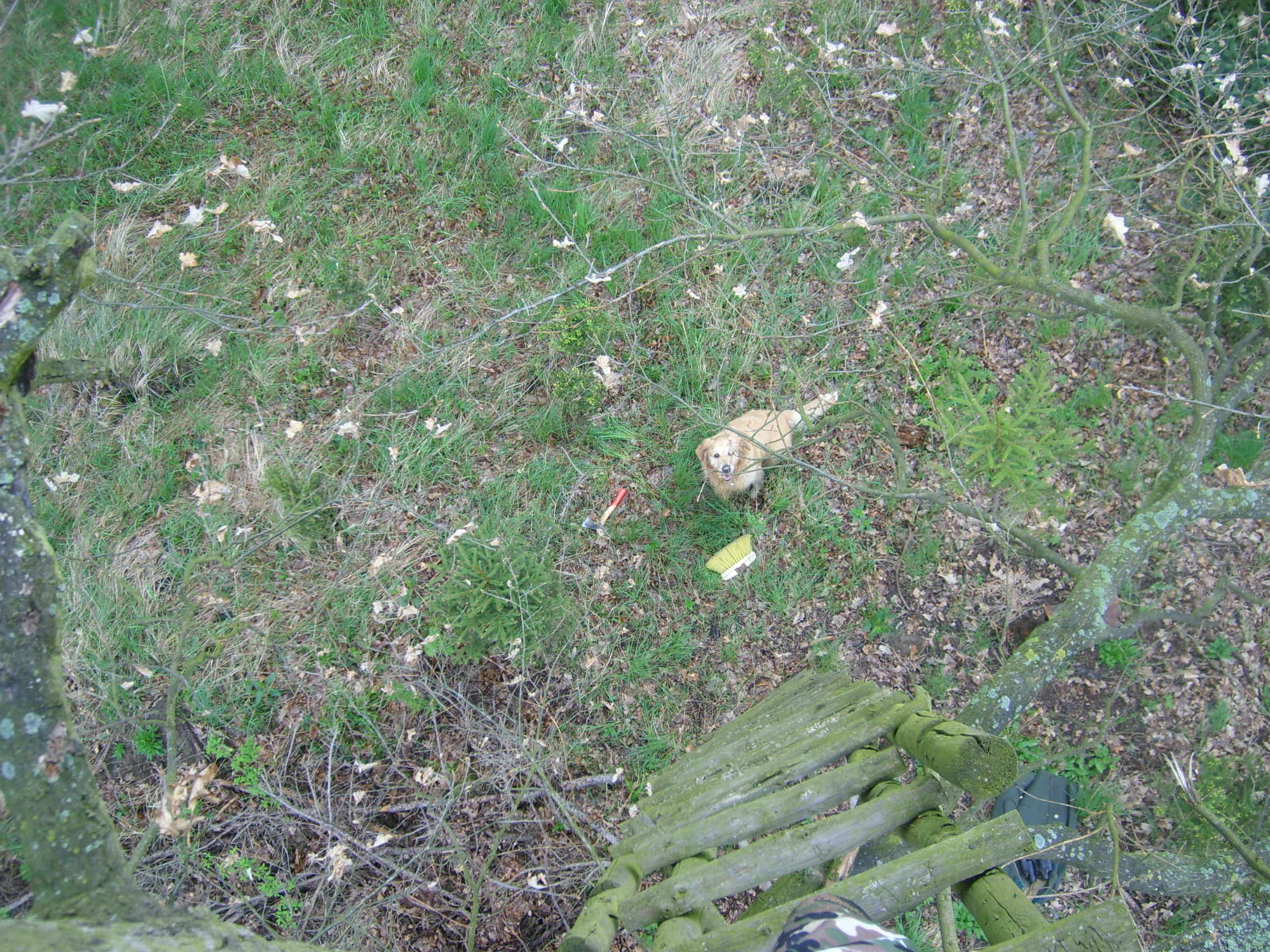 STP61555.JPG
